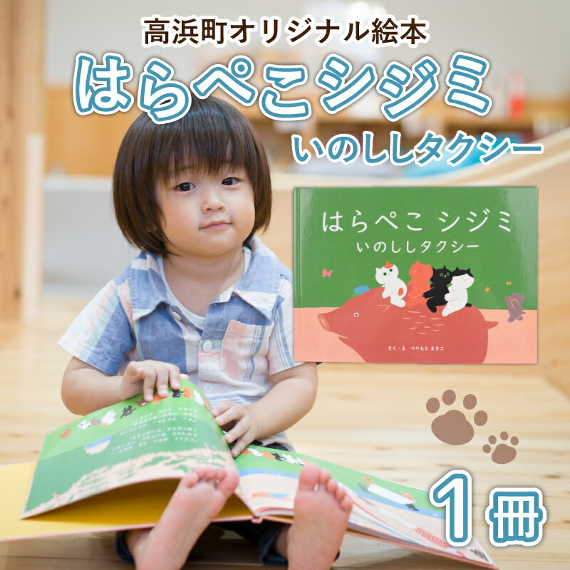 福井県高浜町の画像2