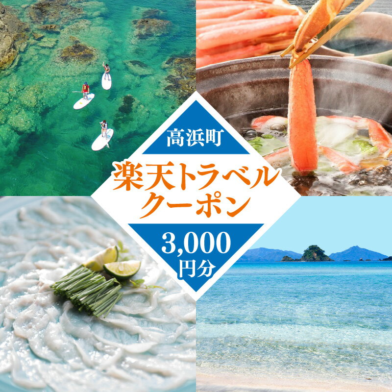 【ふるさと納税】福井県高浜町の対象施設で使える楽天トラベルクーポン 寄付額10,000円｜旅行 海 [A-024004]