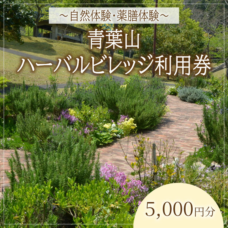 【ふるさと納税】「自然・薬膳体験！」青葉山ハーバルビレッジ利用券5,000円｜利用券 キャンプ BBQ バーベキュー トレーニング ジム コワーキング カフェ スイーツ 体験 健康 薬膳茶 お茶 薬草 自然 送料無料 [A-036002]