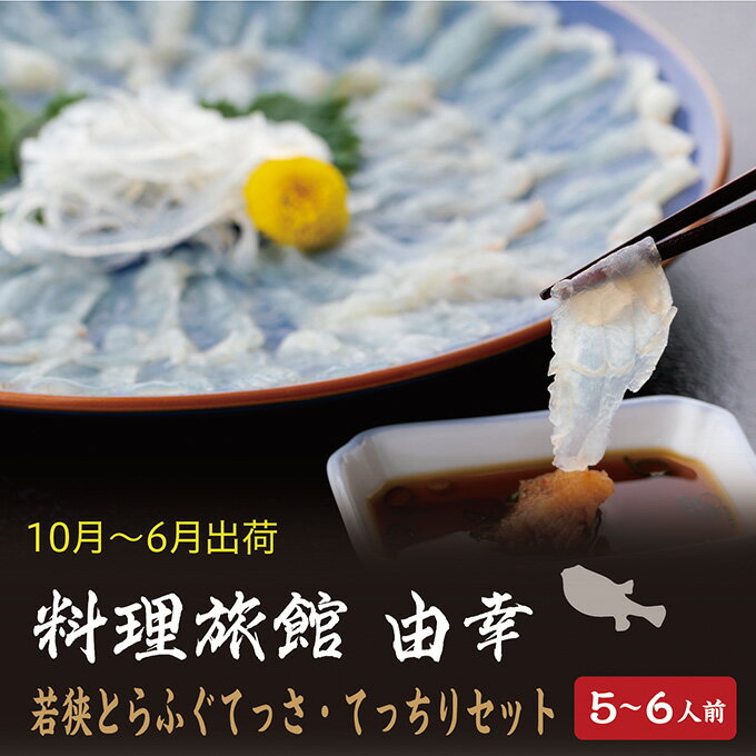【ふるさと納税】若狭とらふぐてっさ・てっちりセット　5〜6人前　【魚貝類・フグ・ふぐ・鍋セット】