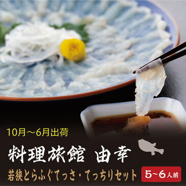 【ふるさと納税】若狭とらふぐてっさ・てっちりセット　5〜6人前　【魚貝類・フグ・ふぐ・鍋セット】