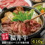 【ふるさと納税】福井県産【南田牛】霜降肩ロースすき焼き用610g　【牛肉・お肉】