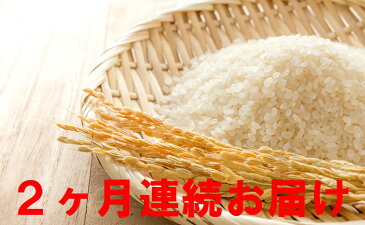 【ふるさと納税】【2ヶ月連続】令和元年度新米！名田の荘コシヒカリ10kg　【定期便・お米・白米・こしひかり・頒布会】