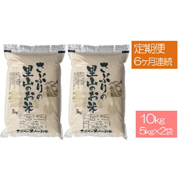 【ふるさと納税】定期便 【6ヶ月連続】さぶりの里山 お米 コシヒカリ 10kg(5kg×2袋) 【定期便・お米・コシヒカリ・10kg】
