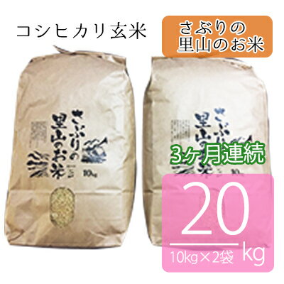 【ふるさと納税】定期便 【3ヶ月連続】さぶりの里山のお米　コシヒカリ玄米 10kg×2袋（20kg）　【定期便・お米・玄米・コシヒカリ】