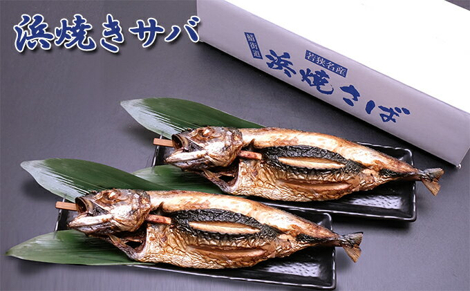 【ふるさと納税】まる焼き鯖2本入セット　【 魚貝類 干物 鯖 サバ 焼きサバ おかず おつまみ BBQ 酒のあて チラシ寿司 】