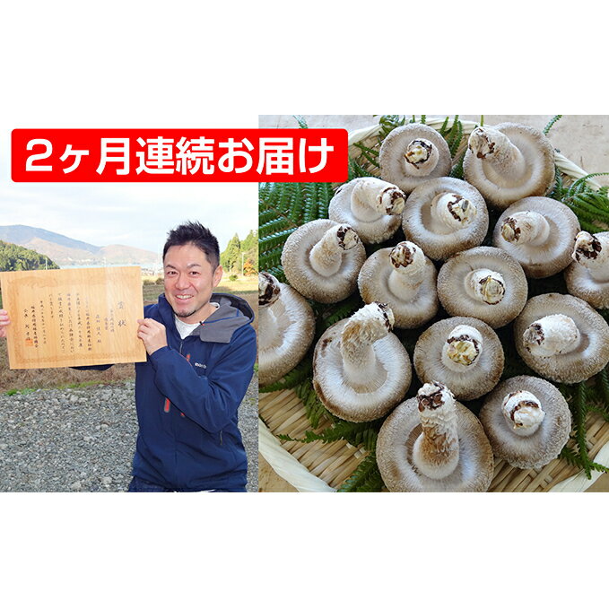 【ふるさと納税】【2ヶ月連続】菌床による、生シイタケで「おーい菌床しいたけ」1kg×2ヶ月　【定期便・..