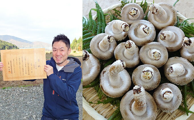 【ふるさと納税】おーい菌床しいたけ2.5kg　【野菜・きのこ・茸・キノコ・シイタケ・椎茸】