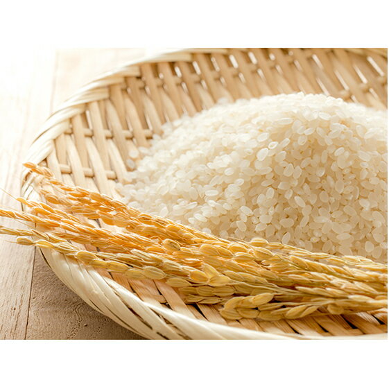 【ふるさと納税】令和四年度新米!名田の荘コシヒカリ10kg【お米】お届け:2022年10月15日〜