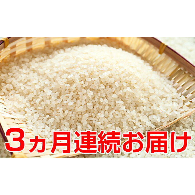 【ふるさと納税】新米!【3ヶ月連続】特別栽培米コシヒカリ5kg【定期便・お米・白米・こしひかり・頒布会】