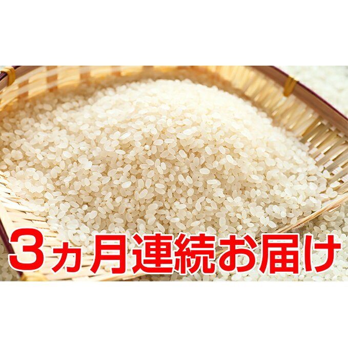 【ふるさと納税】新米！【3ヶ月連続】特別栽培米コシヒカリ　5kg　【定期便・お米・白米・こしひかり・頒布会】