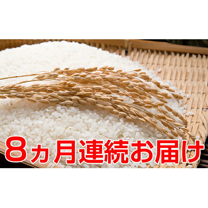 【ふるさと納税】新米!【8ヶ月連続】つきたて自家製精米減農薬コシヒカリ5kg【定期便・お米・白米・こしひかり・頒布会】