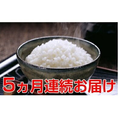 【ふるさと納税】【5ヶ月連続】令和四年度新米!名田の荘コシヒカリ10kg【定期便・お米】お届け:2022年10月15日〜