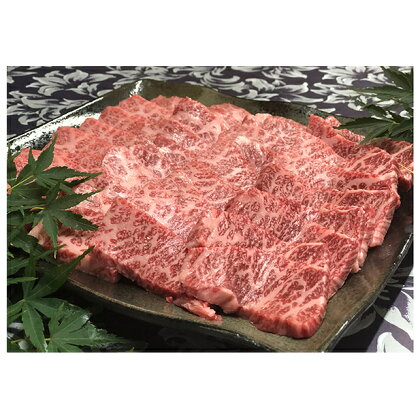 福井県のブランド牛 若狭牛 特上カルビ 焼肉用 700g　【お肉・牛肉・バラ(カルビ)】