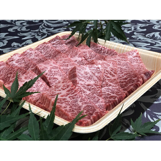 福井県のブランド牛 若狭牛 特上カルビ 焼肉用 450g [お肉・牛肉・バラ(カルビ)]