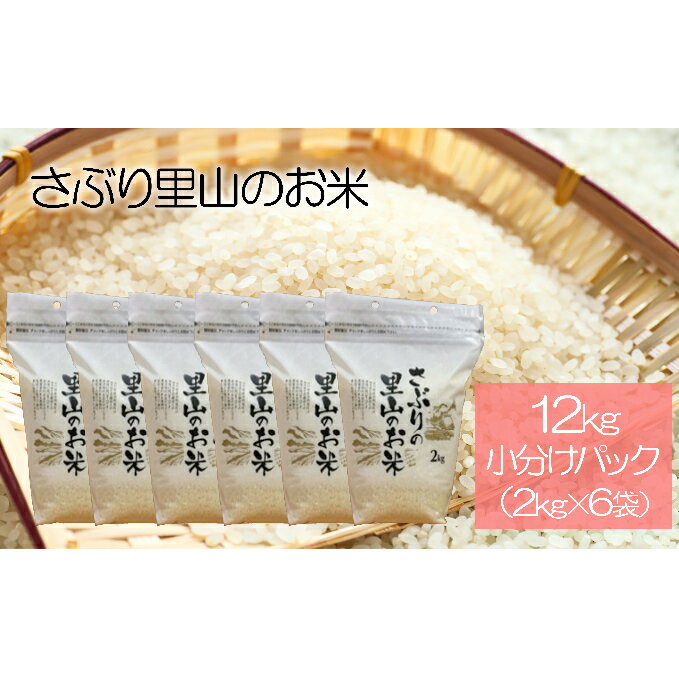 さぶりの里山の お米 コシヒカリ 12kg（小分けパック×6袋セット）