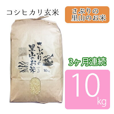 【ふるさと納税】定期便 【3ヶ月連続】さぶりの里山のお米　コシヒカリ玄米　10kg　【定期便・お米・...