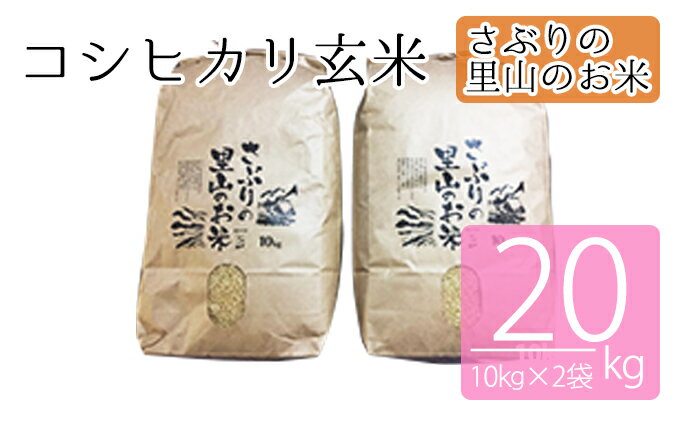 【ふるさと納税】さぶりの里山のお米　コシヒカリ玄米　10kg×2袋（20kg）　【お米・玄米・コシヒカリ】