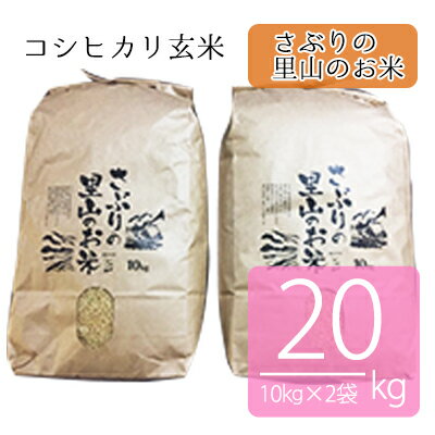 楽天ふるさと納税　【ふるさと納税】さぶりの里山のお米　コシヒカリ玄米　10kg×2袋（20kg）　【お米・玄米・コシヒカリ】