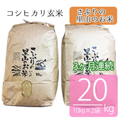 定期便 【3ヶ月連続】さぶりの里山のお米　コシヒカリ玄米 10kg×2袋（20kg）　【定期便・お米・玄米・コシヒカリ】