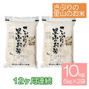 【ふるさと納税】定期便 【12ヶ月連続】さぶりの里山のお米　コシヒカリ精米　5kg×2袋（10kg）　【定期便・お米・コシヒカリ】 1