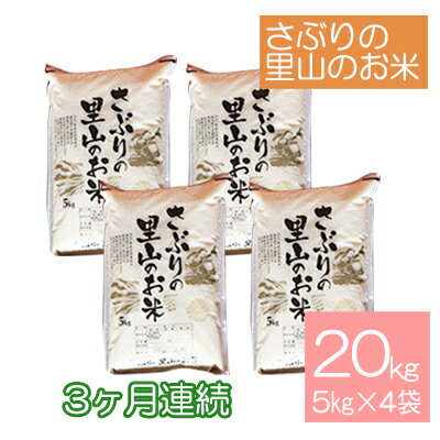 定期便 【3ヶ月連続】さぶりの里山のお米　コシヒカリ精米　5kg×4袋セット（20kg）　【定期便・お米・コシヒカリ】