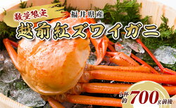 【ふるさと納税】数量限定!福井県産 越前紅ズワイガニ 1杯約700g前後　【 海鮮 海の幸 甲殻類 お祝い 正月 年末年始 ボイル 急速冷凍 甘い みずみずしい 国産 】　お届け：2022年11月上旬〜2023年1月下旬･･･ 画像1