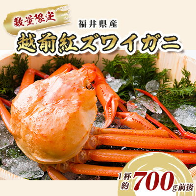 【ふるさと納税】数量限定!福井県産 越前紅ズワイガニ 1杯約700g前後　【 海鮮 海の幸 甲殻類 お祝い 正月 年末年始 ボイル 急速冷凍 甘い みずみずしい 国産 】　お届け：2022年11月上旬〜2023年1月下旬･･･