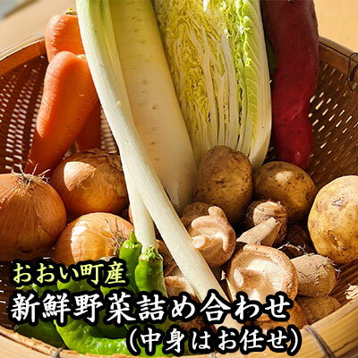 【ふるさと納税】おおい町産新鮮野菜詰め合わせ　【 野菜 野菜セット 新鮮 特産 】