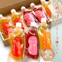 【ふるさと納税】うめっぽのゼリー3種セット9本入り　福井県おおい町産梅使用　【 お菓子 生菓子 スイーツ ひんやりスイーツ 涼 梅ゼリ..