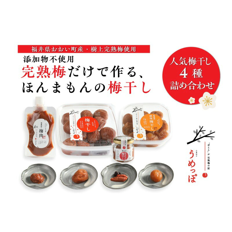 おおい町産の希少品種の完熟梅 昔ながらの梅干 いろいろセット 紅映梅 希少品種 樹上完熟 昔ながら 梅農家が作った 手作り 福井梅 梅 梅干 梅干し うめぼし 完熟 食べ比べ セット 福井県 おおい町