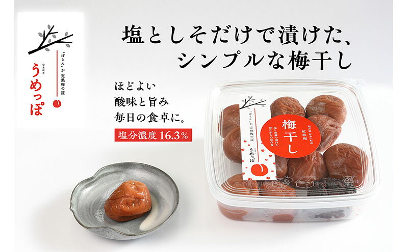 【ふるさと納税】おおい町産の希少品種の完熟梅　昔ながらの梅干　いろいろセット 紅映梅 希少品種 樹上完熟 昔ながら 梅農家が作った 手作り 福井梅 梅 梅干 梅干し うめぼし 完熟 食べ比べ セット 福井県 おおい町 f184837-ohi-10000188 福井県おおい町 サンプル画像2