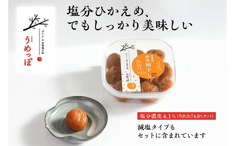 【ふるさと納税】おおい町産の希少品種の完熟梅　昔ながらの梅干　いろいろセット 紅映梅 希少品種 樹上完熟 昔ながら 梅農家が作った 手作り 福井梅 梅 梅干 梅干し うめぼし 完熟 食べ比べ セット 福井県 おおい町 f184837-ohi-10000188 福井県おおい町 サンプル画像3