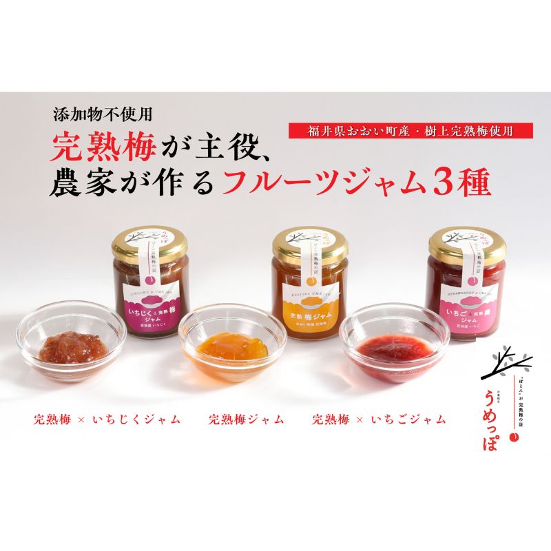 おおい町産完熟梅と地域の果実で作ったすっきり美味しいジャム3種セット