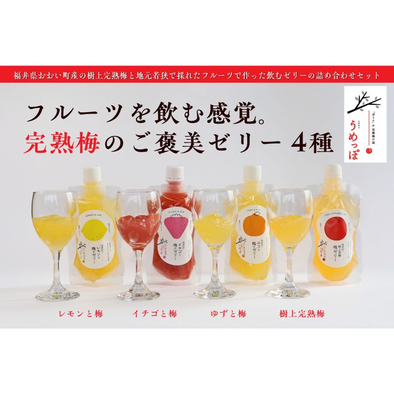 おおい町産希少梅の完熟梅と地域の果実で作ったゼリーセット4種(梅、いちご、柚子、レモン)9本入り