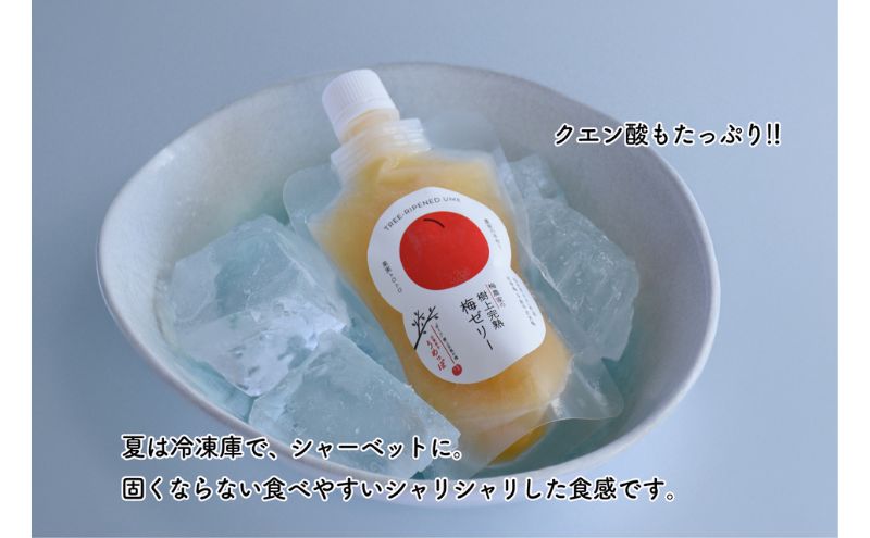 【ふるさと納税】おおい町産希少梅の完熟梅と地域の果実で作ったゼリーセット4種（梅、いちご、柚子、レモン）9本入り