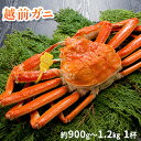 【ふるさと納税】越前ガニ 約900g〜1.2kg×1杯　越前がに 越前かに 越前カニ ずわいがに ズワイガニ 蟹 かに カニ ボイルガニ　【ずわい蟹・ずわいガニ・ズワイガニ・蟹・カニ】　お届け：2021年11月10日〜2022年3月20日･･･