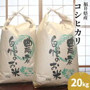 【ふるさと納税】【令和3年産】福井県若狭町コシヒカリ（一等米）20kg（山心ファーム）　【お米・コシヒカリ】