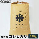 【ふるさと納税】【緊急支援品】 令和3年産福井県若狭町コシヒカリ（一等米）10kg（たごころ農園）　【お米・コシヒカリ】