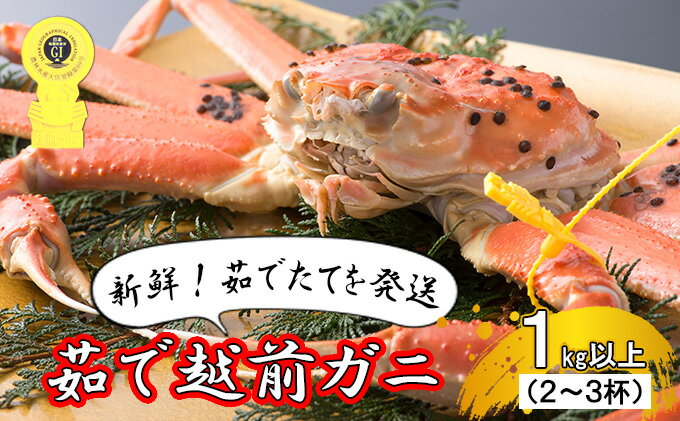 【ふるさと納税】茹で越前ガニ【期間限定】食通もうなる本場の味をぜひ、ご堪能ください。約1kg以上（2〜3杯）訳あり（脚折れ含む）越前がに 越前かに 越前カニ ずわいがに かに カニ ボイルガニ　【 魚介類 】　お届け：2022年11月10日〜2023年3月10日（年末を除く）