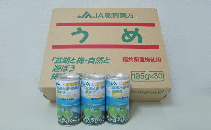 最高級訪問着レンタル ふるさと納税 梅ドリンク 1ケース30缶 加工食品 ジュース 梅 うめ ウメ 塗装剥がれあり特価 缶詰食品 Www Tripseller In 最高級訪問着レンタル ふるさと納税 梅ドリンク 1ケース30缶 加工食品 ジュース 梅 うめ ウメ 塗装剥がれあり特価 缶詰食品 Www Tripseller In