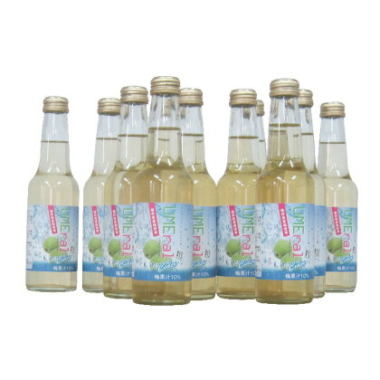 若狭の梅サイダー(ウメラルサイダー)1ケース24本 福井県産梅を使用 【果汁飲料・ジュース・飲料類・炭酸飲料】