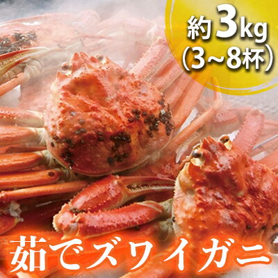 茹でズワイガニ 約3kg(4-8杯)脚折れ含む ずわいがに ズワイガニ ボイルガニ 蟹 かに カニ 【ずわい蟹・ずわいガニ・ズワイガニ・蟹・カニ】 お届け:2021年11月7日〜2022年3月20日