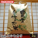 【ふるさと納税】【6ヶ月連続】令和3年産福井県若狭町コシヒカリ（一等米）5kg（山心ファーム）　【定期便・お米・コシヒカリ・米・6ヶ月・6回・半年】　お届け：2021年11月〜2022年8月･･･