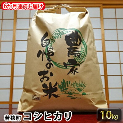 【6ヶ月連続】令和3年産福井県若狭町コシヒカリ(一等米)10kg(山心ファーム) 【定期便・お米・コシヒカリ・米・6ヶ月・6回・半年】 お届け:2021年11月〜2022年8月