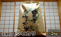 【ふるさと納税】令和3年産 福井県若狭町コシヒカリ（一等米） 5kg（山心ファーム）　【お米・コシヒカリ】 画像1