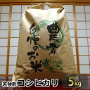 【ふるさと納税】令和3年産 福井県若狭町コシヒカリ（一等米） 5kg（山心ファーム）　【お米・コシヒカリ】