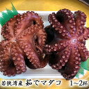 【ふるさと納税】若狭湾産 茹で天然マダコ（1〜2杯 約1.3kg〜1.5kg）冷蔵でお届け　【魚貝類・タコ・天然マダコ・蛸・たこ・真蛸・マダコ】