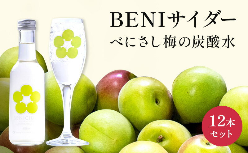 【ふるさと納税】炭酸 BENIサイダー 12本 セット 炭酸飲料 飲料 梅サイダー サイダー 紅映 梅 うめ ウメ 福井県 福井　【 若狭町 】