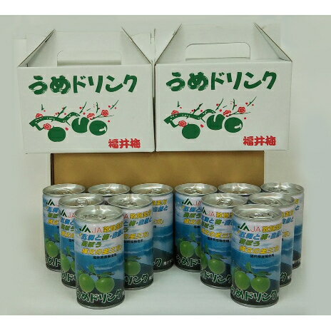 梅ドリンク12本(6本ずつ化粧箱入り) [果汁飲料・ジュース]